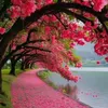 alhamdoulilahsoso