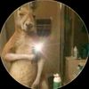 diego_tww