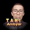 tani_ambyar