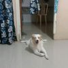 manluhlsan