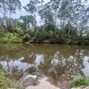 mahuika.tane