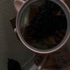 _spamwitcolocha