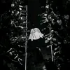 decungcuadodocmoon_