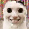 tamal_conpasita