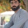 zaidi.313