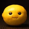 jmarcidd