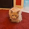 135_sara_642