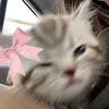 xxjaixx_1