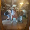 levi_7255