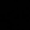 skylit29