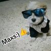 aron_aaron200