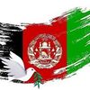 hassanafghan2