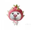 haf.lin_iu
