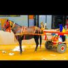 soulaye236