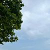 ocean