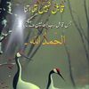 amna.ali4014