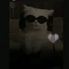 velkomiiiii