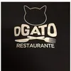 pedro.gato88