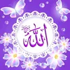 user1567813131181