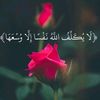 user63492211013933