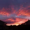 blankfkm8k0