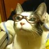 nya_eyes_