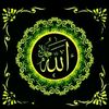 user4488081829144