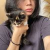 nikiapriliaa