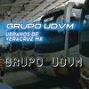 grupo_movilidad_ver_y_mx
