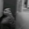 horia.elbaz