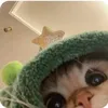iluv.srwzx
