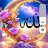 user3202236945600