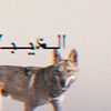 user7232603243714