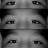 naho_2013xd