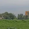 useriye2004
