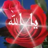 user3961933763067