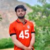 sarkaryt045
