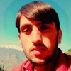 saeedwalishah
