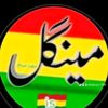 shakoor.704