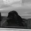 ninii_436