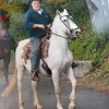 gianniarecco