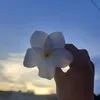 lara_sibelly12
