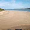 ellen.north5