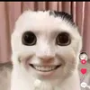 beno55555555