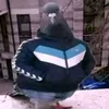 ovosh7867