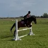 bgixeq
