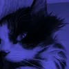 cocojambo646