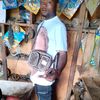 user8381020163481