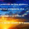 flor.l.t