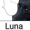_556_luna
